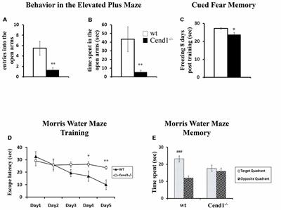 Increased Anxiety-Related Behavior, Impaired Cognitive Function and Cellular Alterations in the Brain of Cend1-deficient Mice